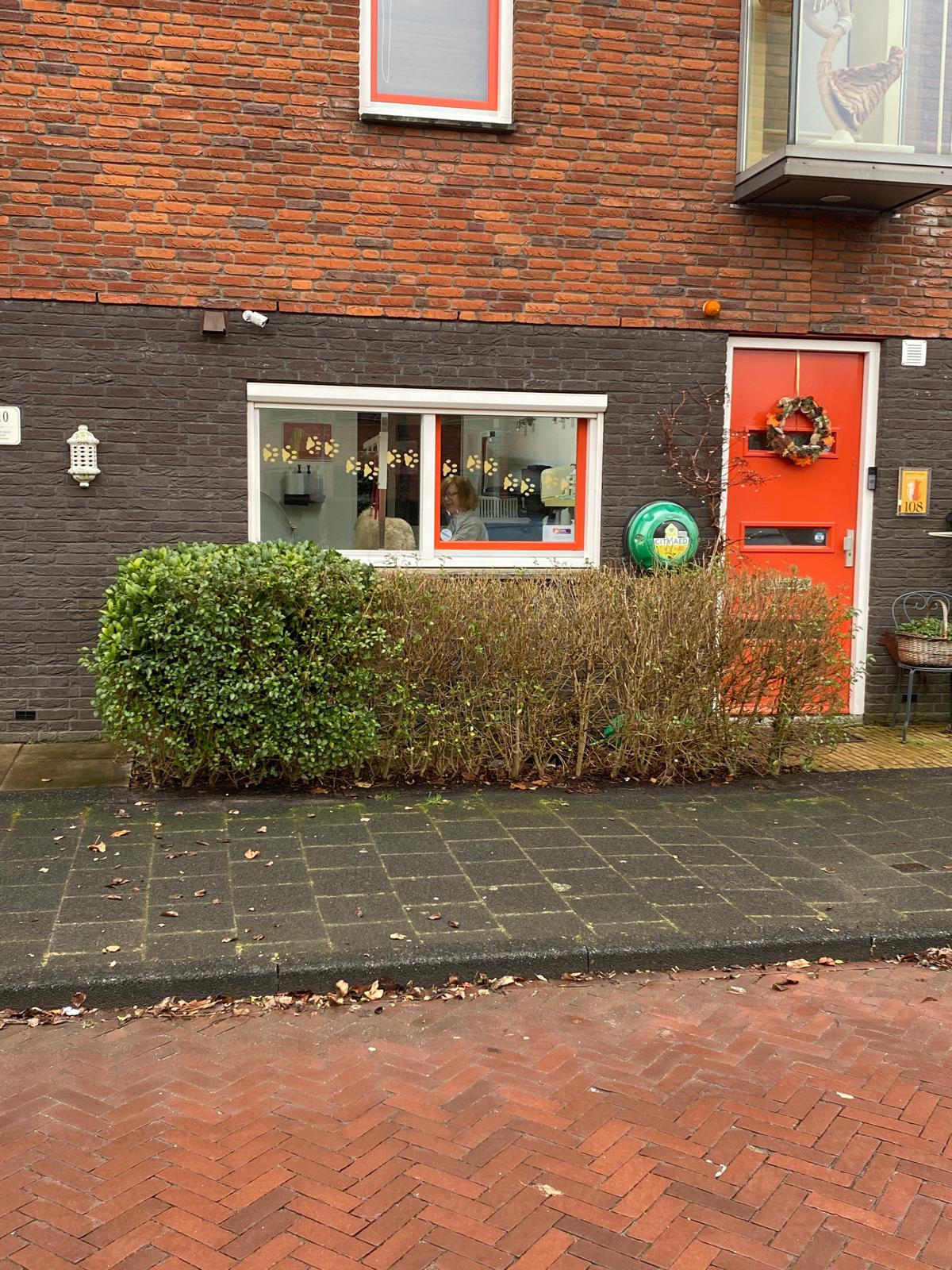 Dierenzorg - Hondentrimsalon en Kattenhotel