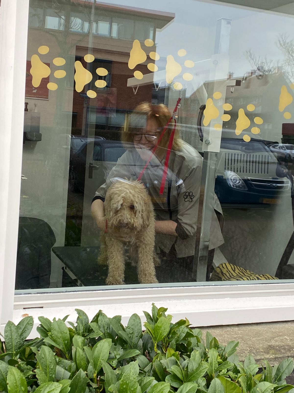 Dierenzorg - Hondentrimsalon en Kattenhotel