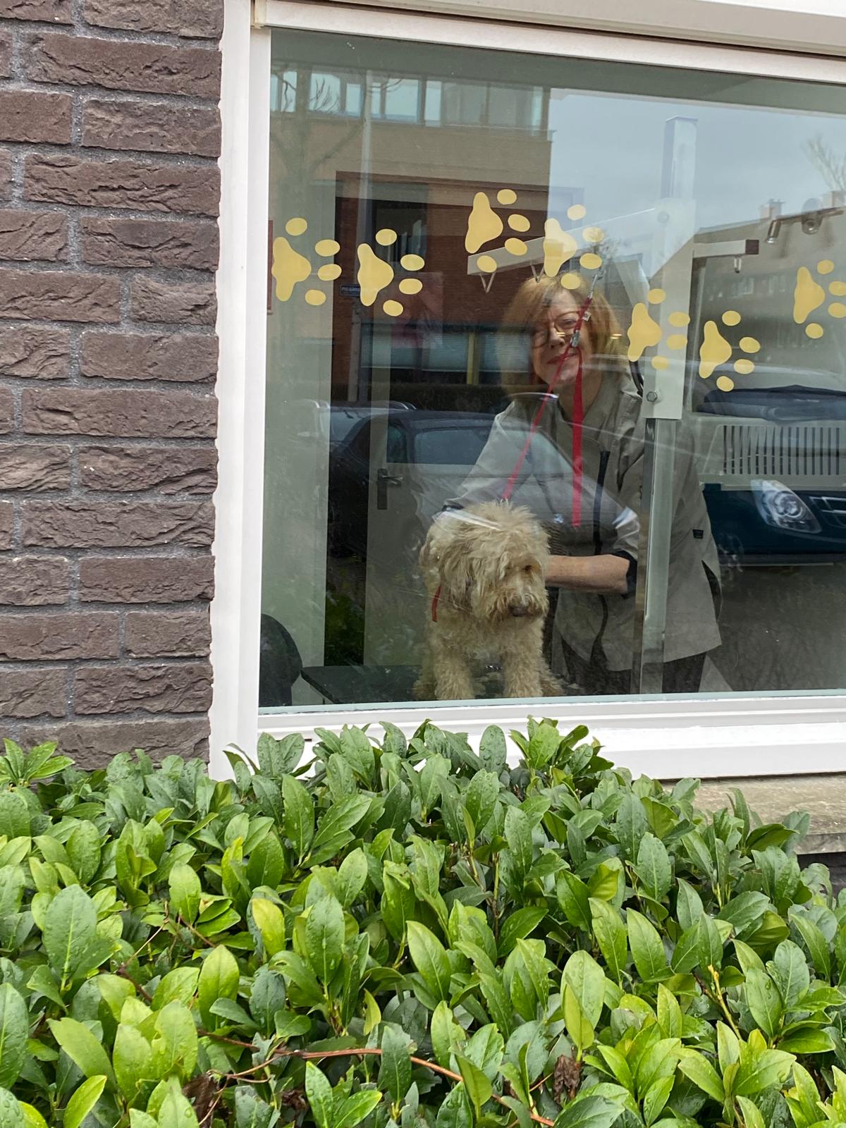 Dierenzorg - Hondentrimsalon en Kattenhotel