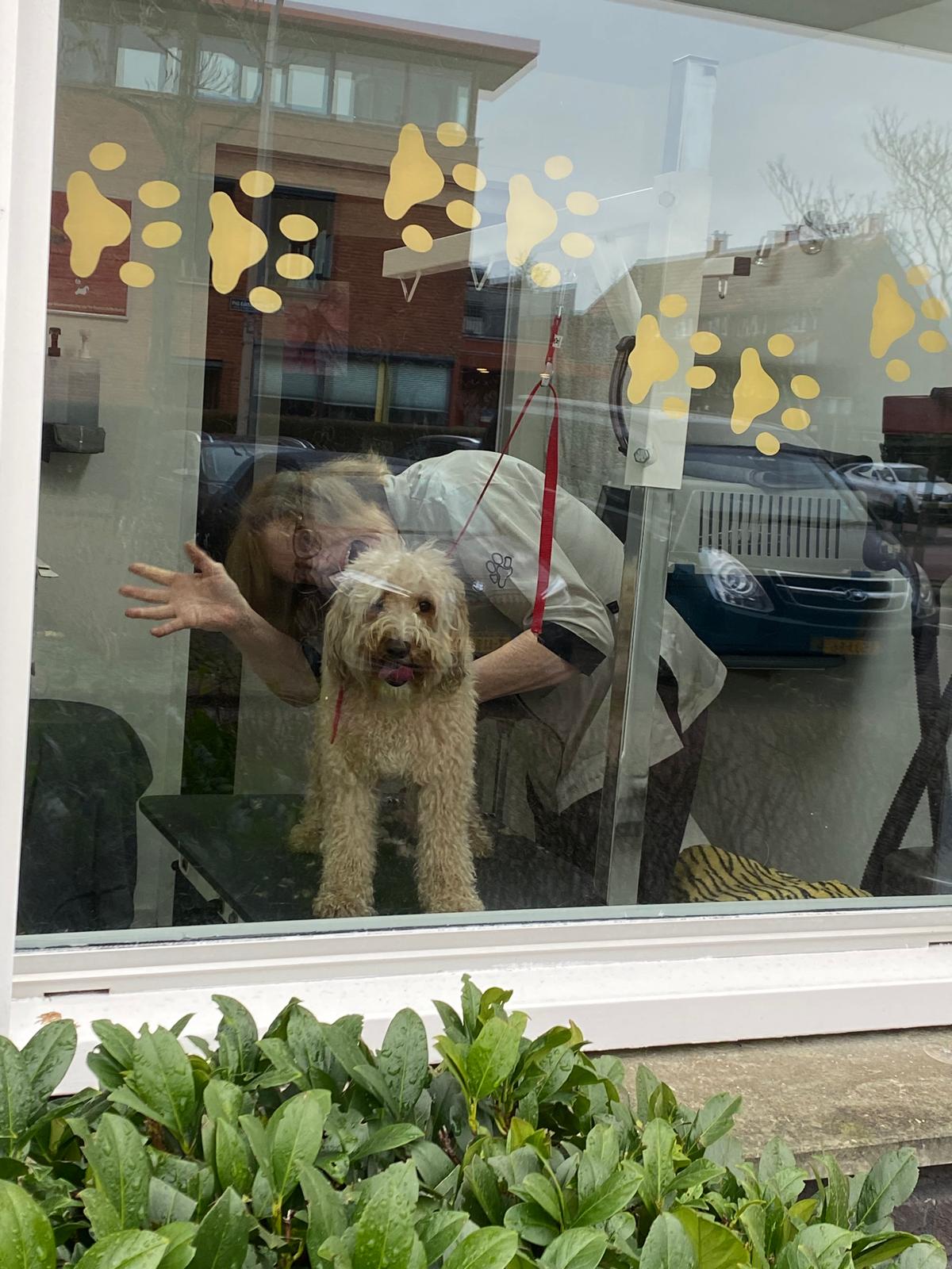 Dierenzorg - Hondentrimsalon en Kattenhotel