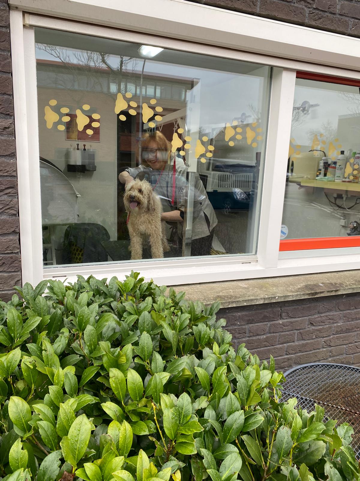 Dierenzorg - Hondentrimsalon en Kattenhotel